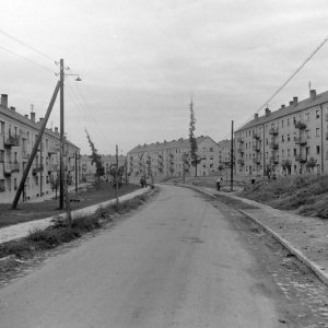 Komló, Kökönyös városrész, Sallai Imre utca a Pécsi út felé nézve.-1956 (Forrás: Fortepan)
